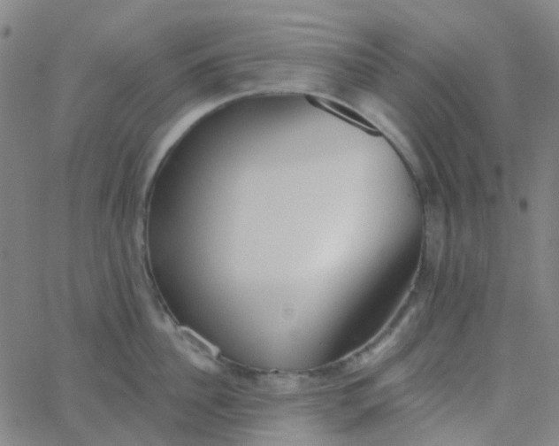 X0000062840956200601272013