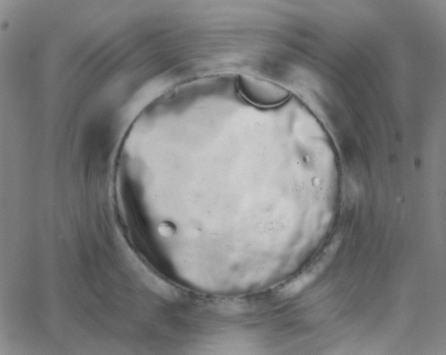 X0000062840957200601272013