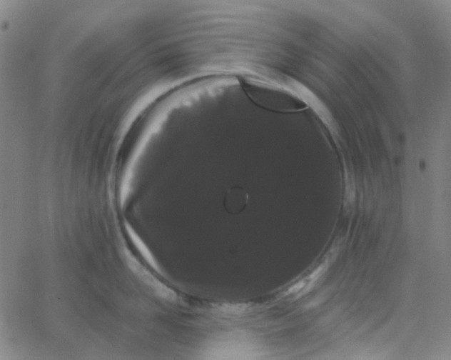 X0000062840958200601272013