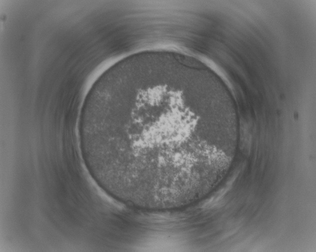 X0000062840959200601272013