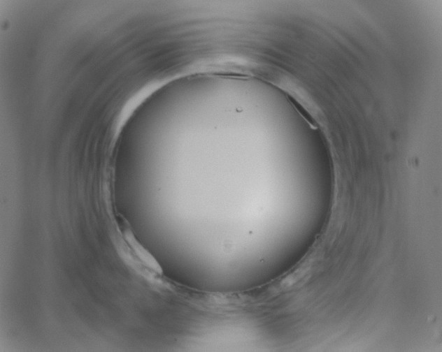 X0000062840960200601272013