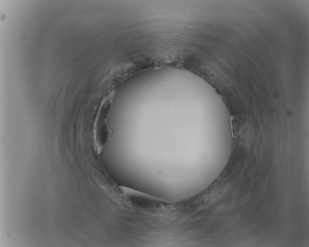 X0000062840961200601272012