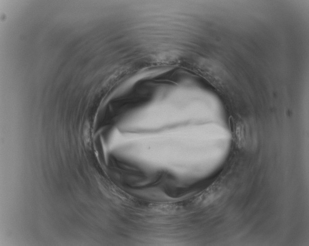 X0000062840963200601272012