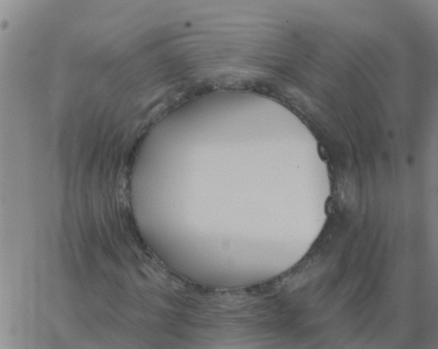 X0000062840964200601272012