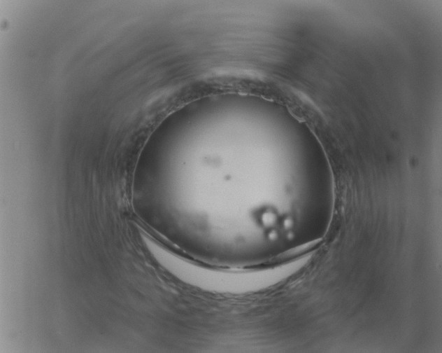 X0000062840965200601272012