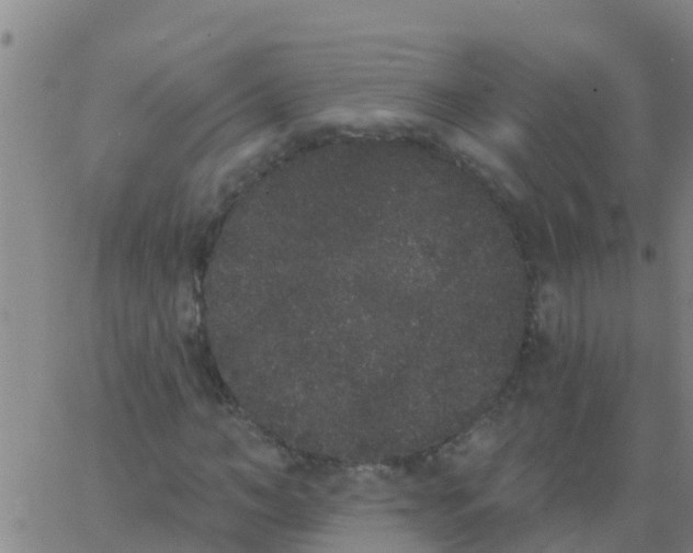 X0000062840966200601272012