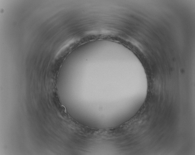 X0000062840967200601272012