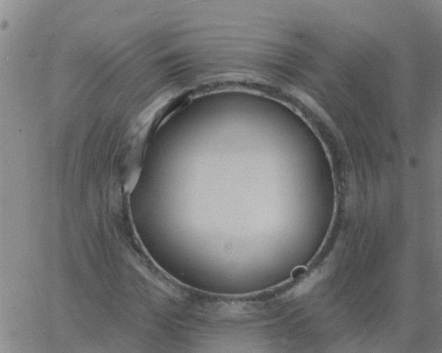 X0000062840969200601272012