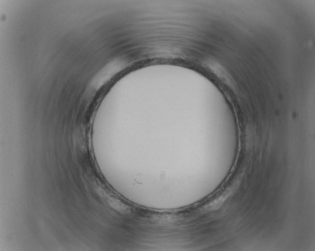 X0000062840970200601272012