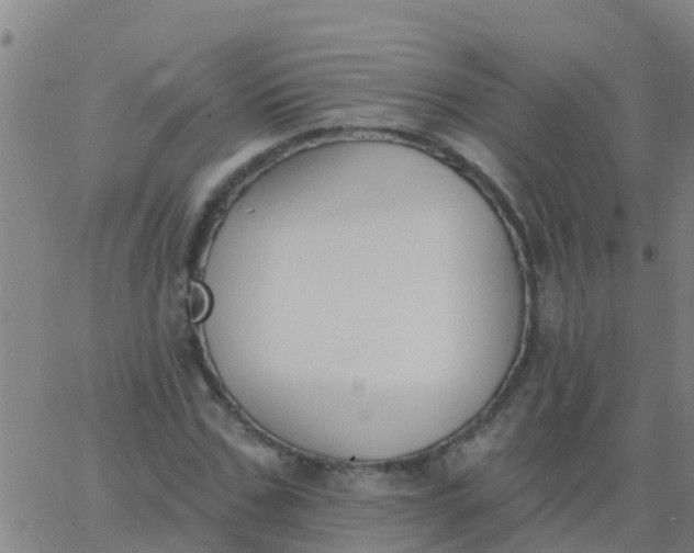 X0000062840971200601272012