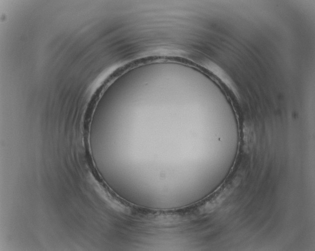 X0000062840972200601272012