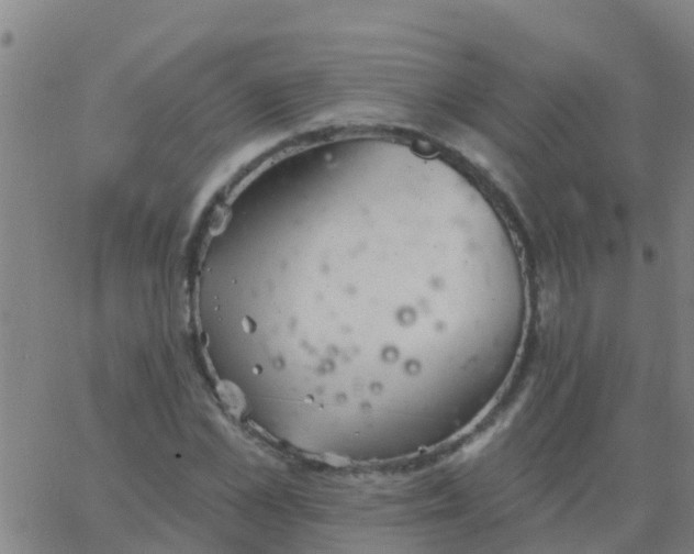 X0000062840973200601272012