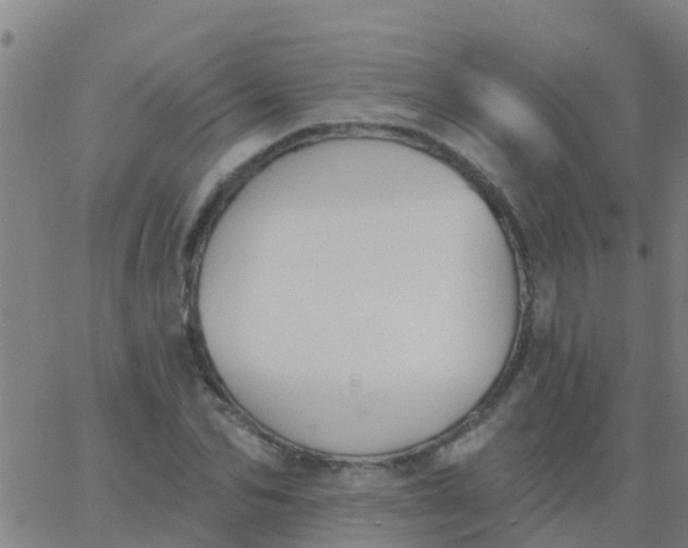 X0000062840974200601272012