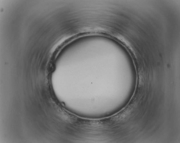 X0000062840975200601272012