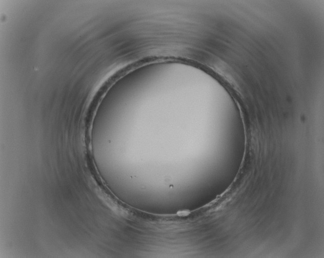 X0000062840976200601272012