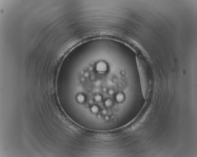 X0000062840977200601272012