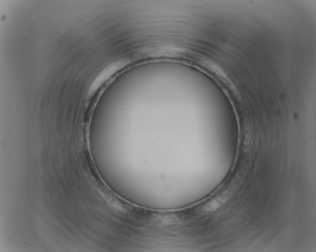 X0000062840978200601272012