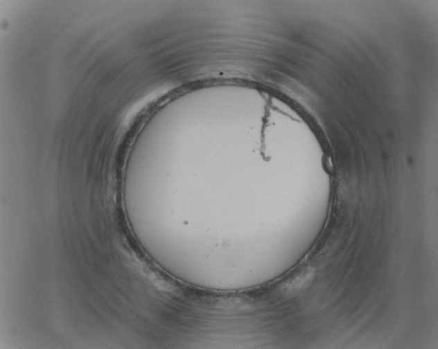 X0000062840979200601272012