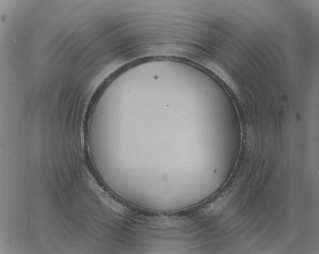 X0000062840980200601272012