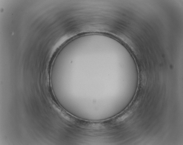 X0000062840982200601272012