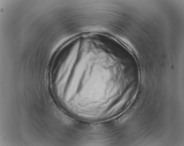 X0000062840983200601272012