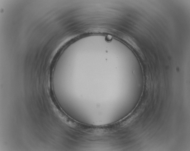 X0000062840984200601272012