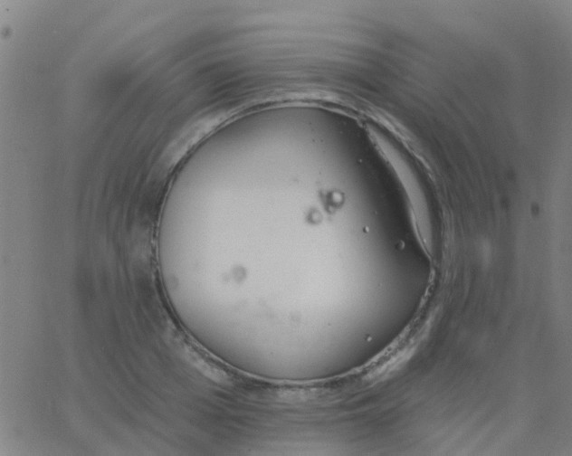 X0000062840985200601272012