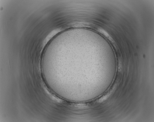 X0000062840986200601272012