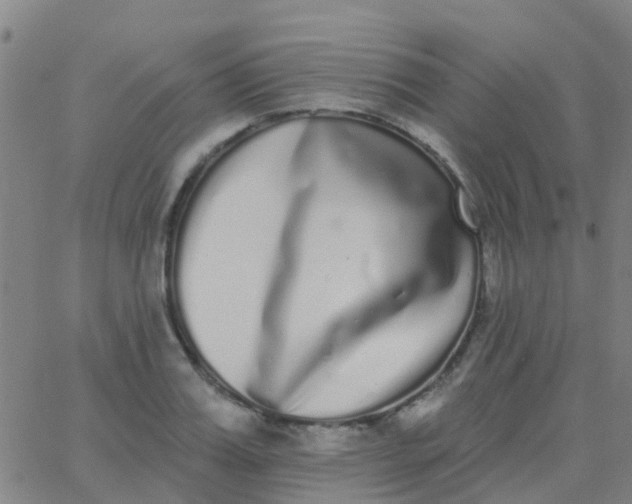 X0000062840987200601272012