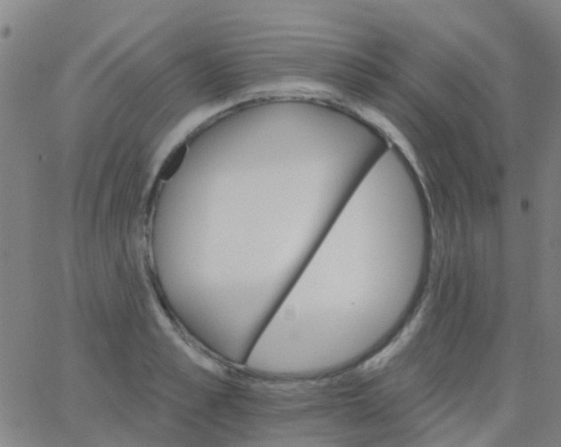 X0000062840989200601272012