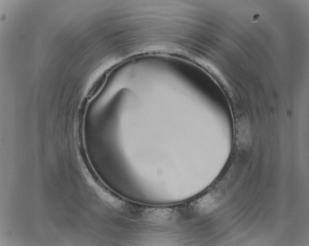 X0000062840991200601272012