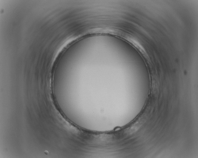 X0000062840992200601272012