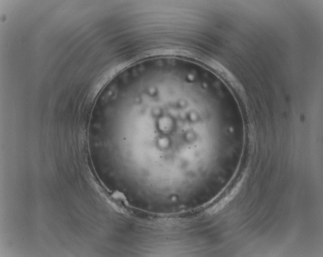 X0000062840993200601272012