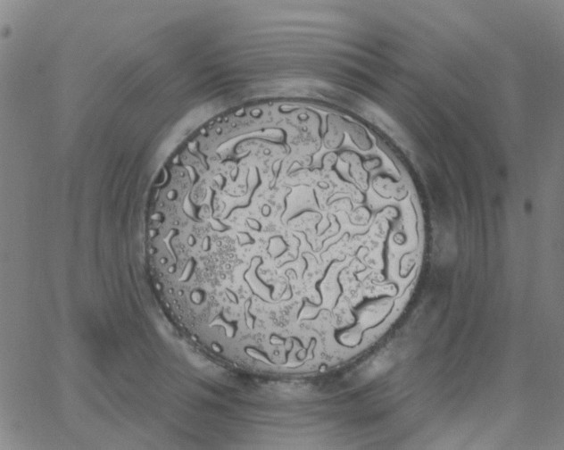 X0000062840994200601272012