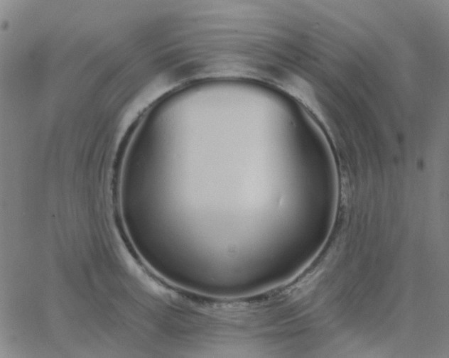 X0000062840995200601272012