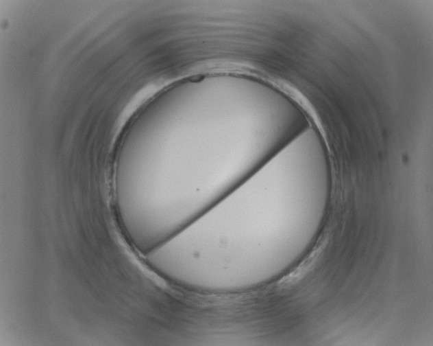 X0000062840997200601272011