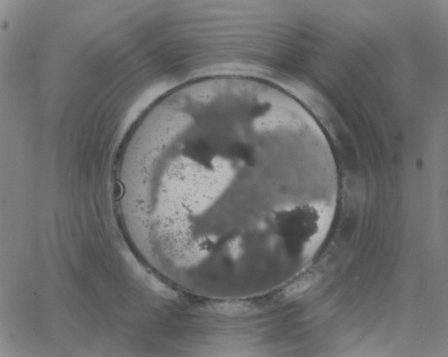 X0000062840998200601272011