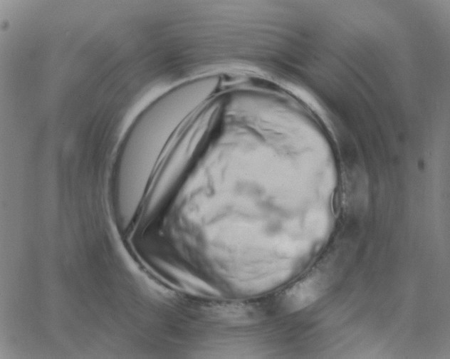 X0000062840999200601272011