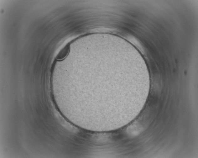 X0000062841000200601272011