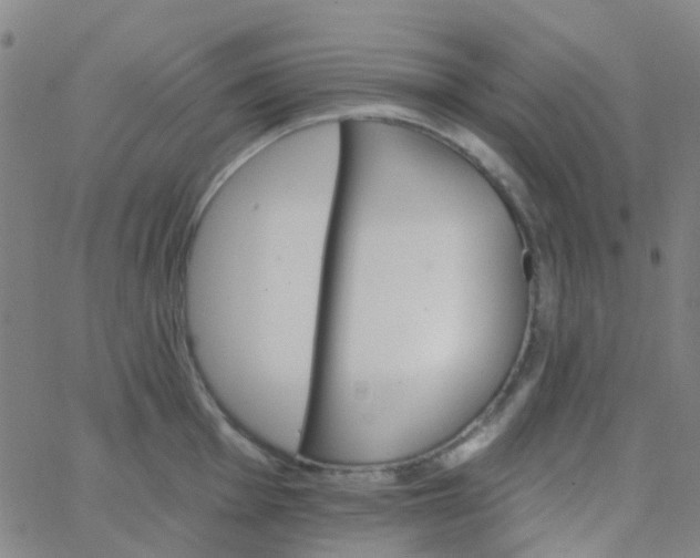 X0000062841001200601272011