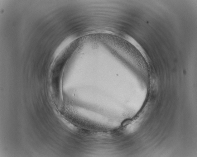 X0000062841002200601272011