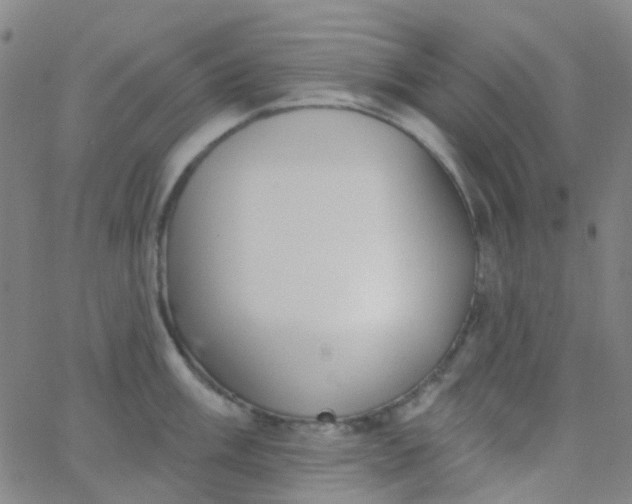 X0000062841003200601272011