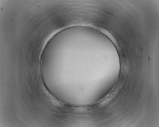 X0000062841004200601272011