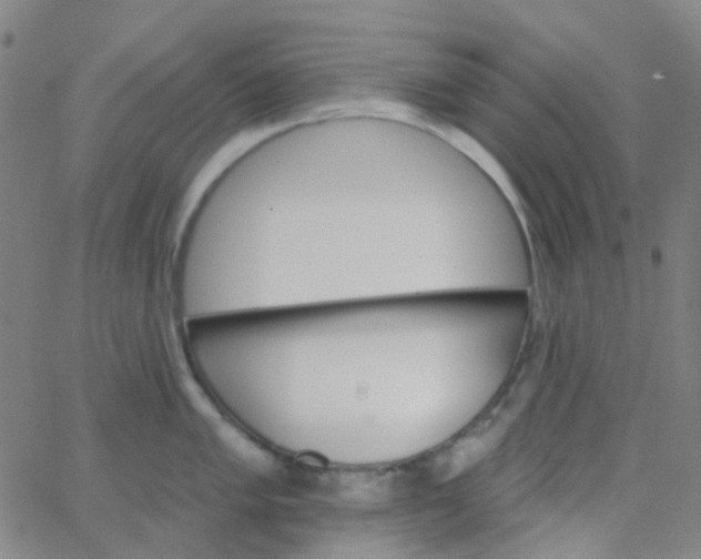 X0000062841005200601272011