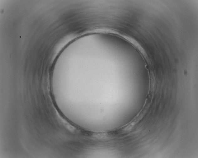 X0000062841006200601272011