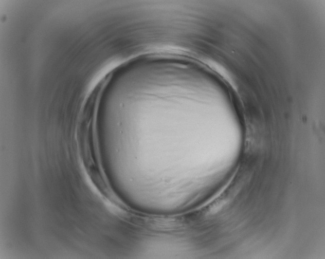 X0000062841007200601272011