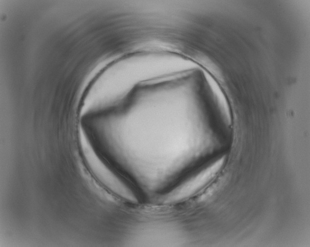 X0000062841008200601272011