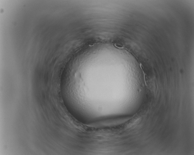 X0000062841009200601272011