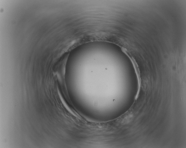 X0000062841010200601272011