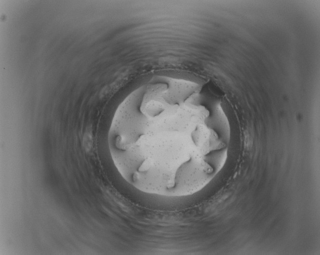 X0000062841011200601272011